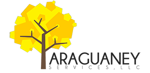 Araguaney Cargo Serv.